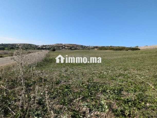 3-hectares-agricoles-titres-aux-environs-dasilah-big-2
