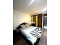 studio-meuble-a-louer-51-m2-les-princesses-small-1