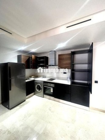 studio-meuble-a-louer-51-m2-les-princesses-big-2