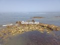 shk-mfrosh-llkraaa-alyomy-small-0