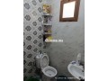 martyl-hy-ahryk-sharaa-almnbt-znk-9-rkm-7-small-6