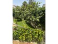 villa-de-coin-quartier-calme-proche-de-toutes-commodites-small-18
