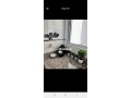 studio-vue-mer-et-golf-marina-asilah-small-5