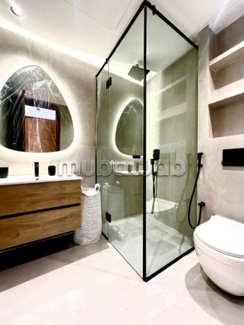 top-appartement-meuble-neuf-jamais-habite-a-louer-a-ferme-bretonne-big-9
