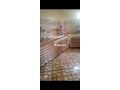 maison-a-vendre-a-ourika-laagrab-small-6