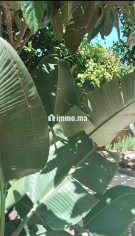 grande-villa-en-centre-ville-de-tanger-big-2