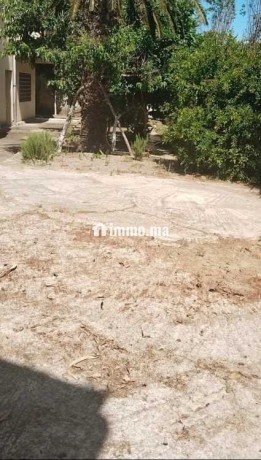 grande-villa-en-centre-ville-de-tanger-big-3