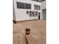 vente-de-2-magasins-fusionnes-totalisant-410m2-small-2