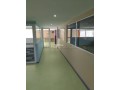 vente-de-2-magasins-fusionnes-totalisant-410m2-small-8