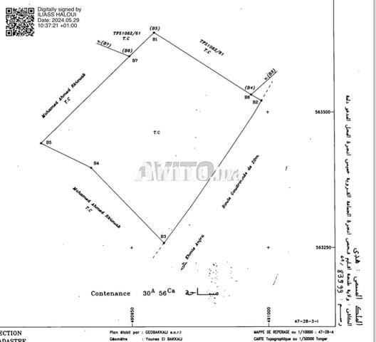 Terrain a khmis anjra titre voie principal - Vente Immobilier - Tetouan - photo 3