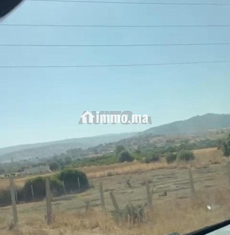 Terrain a khmis anjra titre voie principal - Vente Immobilier - Tetouan - photo 4