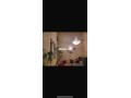 maison-commercial-avec-cafe-a-vendre-small-4