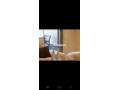 appartement-de-lux-a-hay-mohmadi-agadir-small-9
