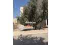 terrain-a-vendre-a-fes-oulad-tayeb-en-face-figuigi-small-3