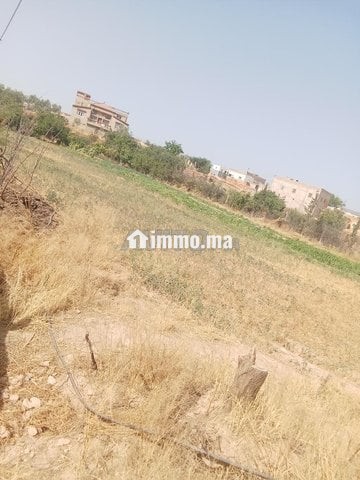 Ferme titre a laanoucer region sefrou - Vente Immobilier - Sefrou - photo 2