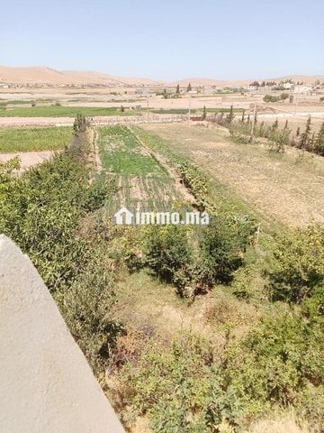 Ferme titre a laanoucer region sefrou - Vente Immobilier - Sefrou - photo 4