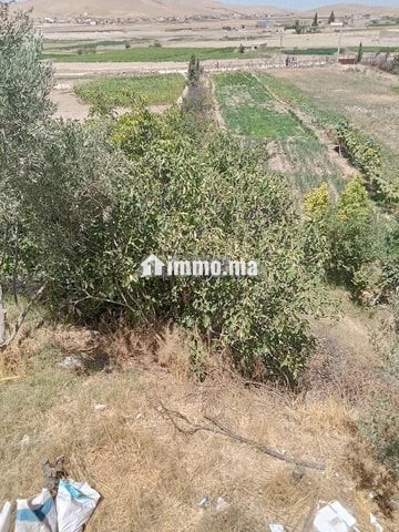 Ferme titre a laanoucer region sefrou - Vente Immobilier - Sefrou - photo 6