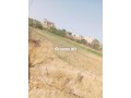 ferme-titre-a-laanoucer-region-sefrou-small-1