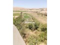 ferme-titre-a-laanoucer-region-sefrou-small-3