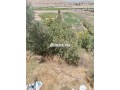 ferme-titre-a-laanoucer-region-sefrou-small-5