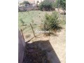ferme-titre-a-laanoucer-region-sefrou-small-6