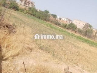 Ferme titre a laanoucer region sefrou - Terrain à vendre - Sefrou
