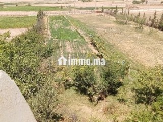 Ferme titre a laanoucer region sefrou - Terrain à vendre - Sefrou