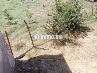 Ferme titre a laanoucer region sefrou - Terrain à vendre - Sefrou