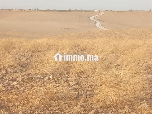 ارض للبيع فيها 16 هكتار - Vente Immobilier - Settat - photo 1