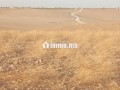 ard-llbyaa-fyha-16-hktar-small-0