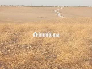 ard-llbyaa-fyha-16-hktar