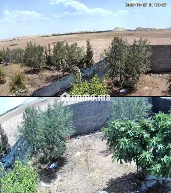 فيرمة صغيرة بها بئر و منزل و طاقة شمسية - Vente Immobilier - Youssoufia - photo 1