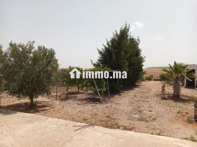 فيرمة صغيرة بها بئر و منزل و طاقة شمسية - Vente Immobilier - Youssoufia - photo 5