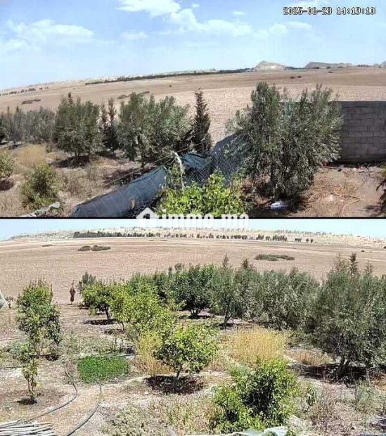 فيرمة صغيرة بها بئر و منزل و طاقة شمسية - Vente Immobilier - Youssoufia - photo 6