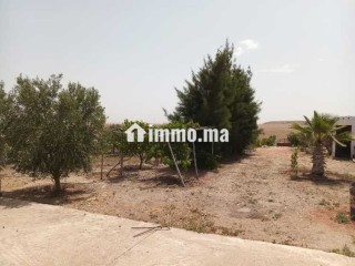 فيرمة صغيرة بها بئر و منزل و طاقة شمسية - Terrain à vendre - Youssoufia