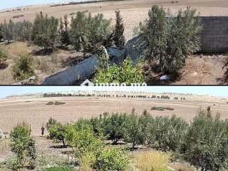 فيرمة صغيرة بها بئر و منزل و طاقة شمسية - Terrain à vendre - Youssoufia