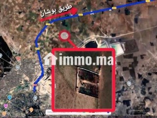 فيرمة صغيرة بها بئر و منزل و طاقة شمسية - Terrain à vendre - Youssoufia