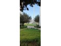 appartement-meuble-a-louer-a-proximite-du-chu-small-1