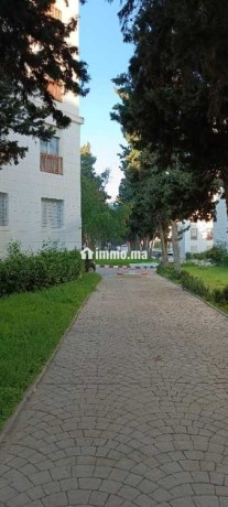 appartement-meuble-a-louer-a-proximite-du-chu-big-2