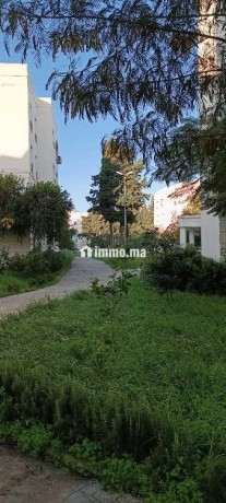 appartement-meuble-a-louer-a-proximite-du-chu-big-3