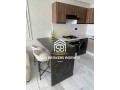joli-produit-palmier-moderne-small-6