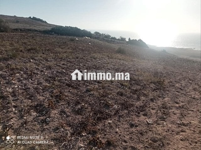 فرصة ذهبية لاقتناء أرض مطلة على البحر - Vente Immobilier - Essaouira - photo 3