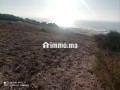 frs-thhby-laktnaaa-ard-mtl-aal-albhr-small-1