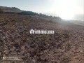 frs-thhby-laktnaaa-ard-mtl-aal-albhr-small-2