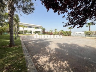 BOUSKOURA VENTE: Centre Commercial /Bâtiment Administratif - Bureau à vendre