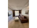 appartement-2-chambres-salon-centre-de-gueliz-small-3