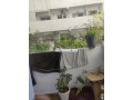 appartement-vide-a-louer-belvedere-small-8