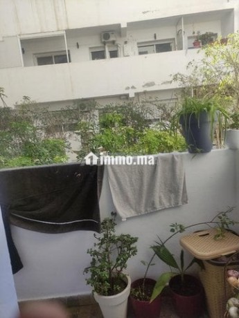appartement-vide-a-louer-belvedere-big-8