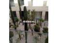 appart-meuble-avec-vue-mer-a-louer-small-0
