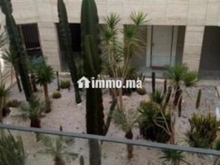 appart-meuble-avec-vue-mer-a-louer